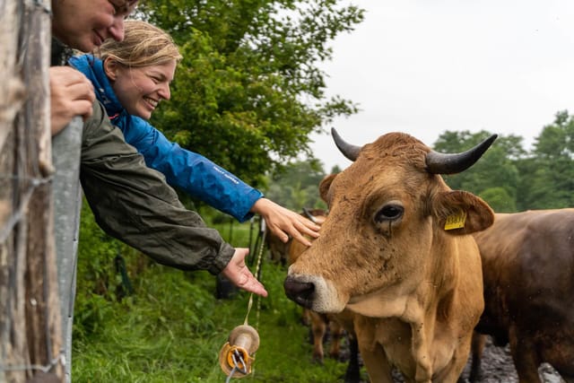 Landtags-Grüne setzen sich in Berlin erfolgreich für Bayerns Milchvieh-Betriebe ein – Kombihaltung bleibt!