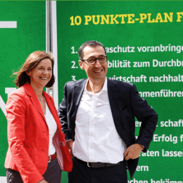 Bundestagswahl: Darum Grün.