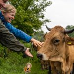 Landtags-Grüne setzen sich in Berlin erfolgreich für Bayerns Milchvieh-Betriebe ein – Kombihaltung bleibt!