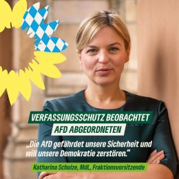 Verfassungsschutz überwacht AfD-Landtagsabgeordneten Schmid